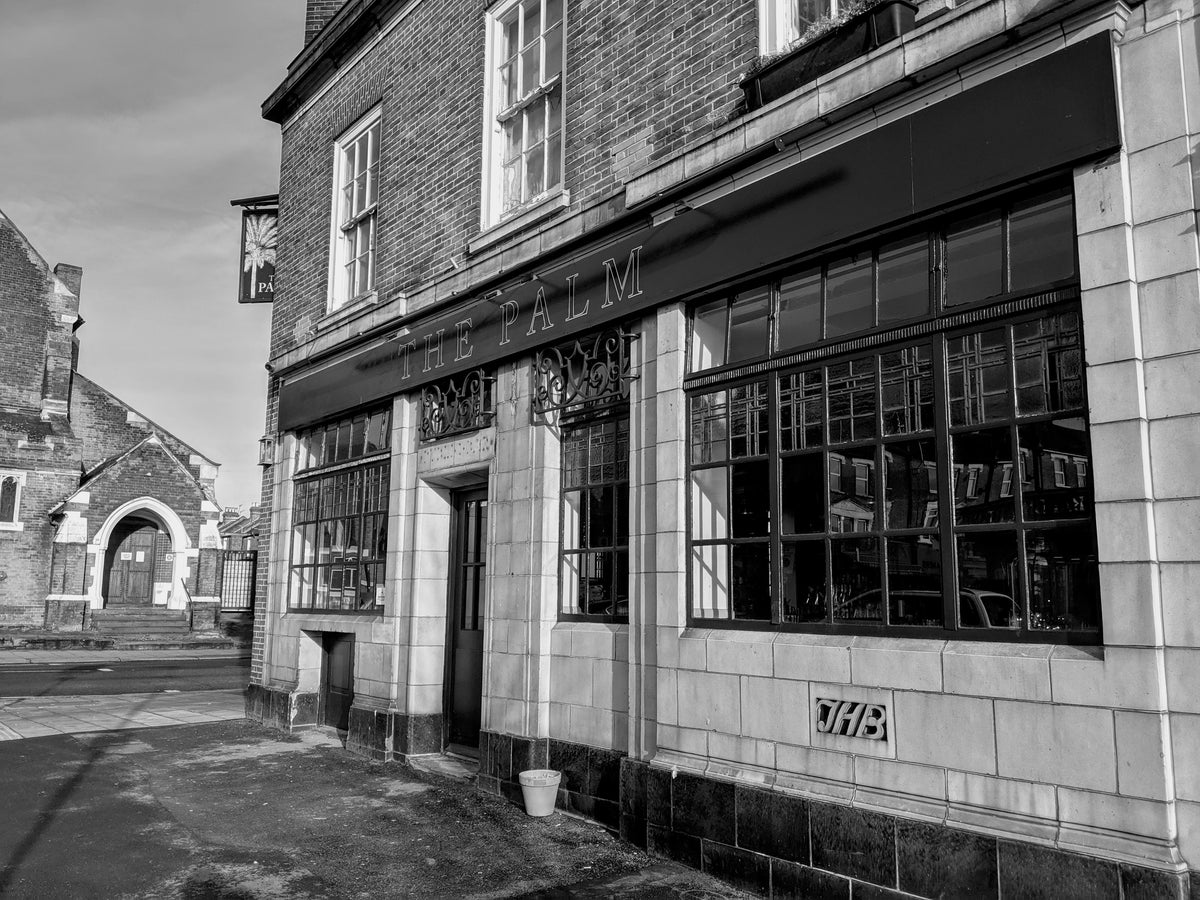 Photo of The Palm, Haringey